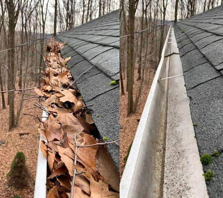 Gutter Cleaning